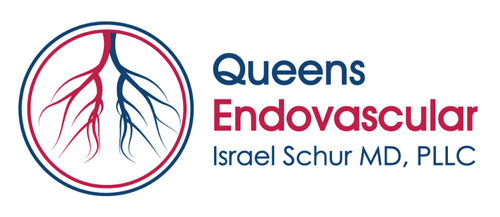 Queens Endovascular Center