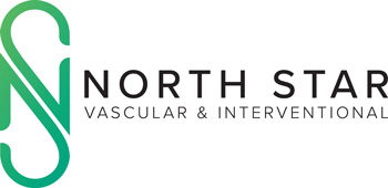 North Star Vascular & Interventional Logo